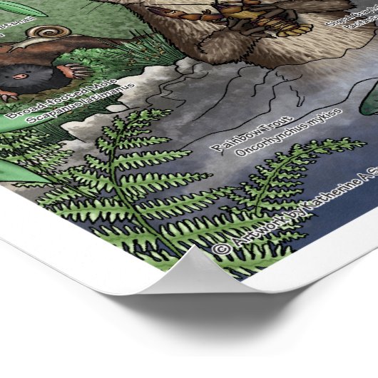 Poster "Otter Twin Magic" — avec bordure (Coin)