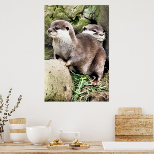 POSTER OTTERS (Cuisine)