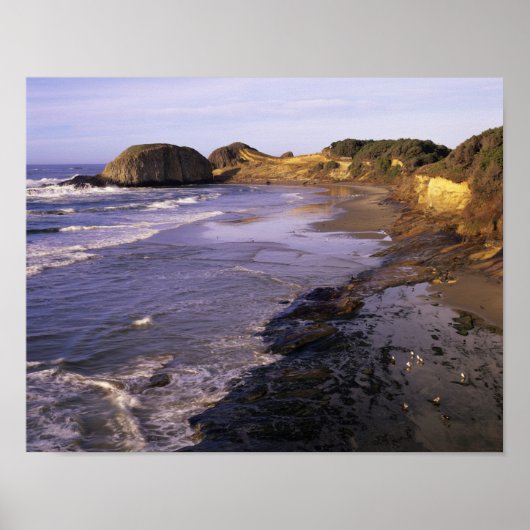 Poster OU, côte de l'Oregon, Newport, rivage à Seal (Devant)