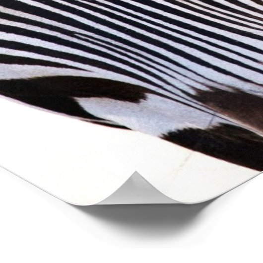 Poster Où Est L'Affiche Zebra ? (Coin)