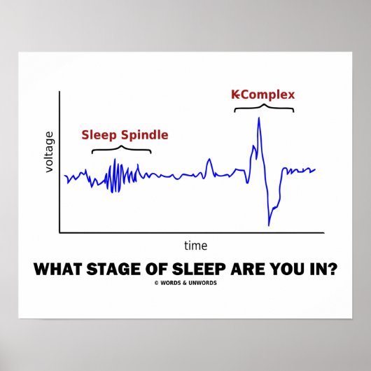 Poster Où est le Stage Of Sleep Are You In ? (Devant)