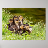 Poster Où est maman ? (Devant)