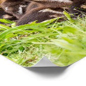 Poster Où est maman ? (Coin)