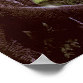 Poster ou imprimer (Coin)