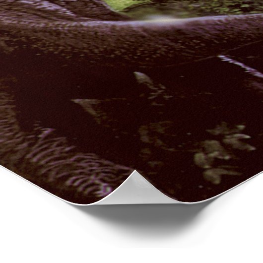 Poster ou imprimer (Coin)