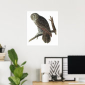 Poster ou imprimer Audubon Great Grey Owl (Bureau à domicile)