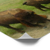 Poster Où Le Buffalo Roam-02 (Coin)