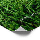 Poster Où Meadowlards chante Galerie verticale Imprimer (Coin)