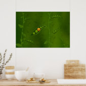 Poster Où naissent les sourires (Version 2009) (Cuisine)