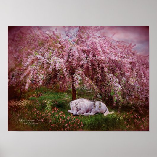 Poster Où Unicorn's Dream Art Poster/Imprimer (Devant)