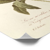 Poster Oublie-moi-non (Coin)