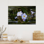 Poster Oublie-moi pas les fleurs (Cuisine)