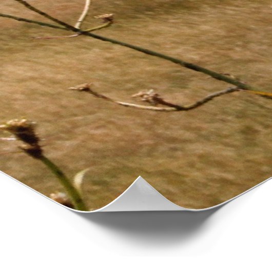 Poster Ouderschap speciale behoefte (Hoek)