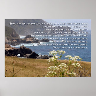 Poster Ouderschap speciale behoefte