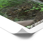 Poster Oups ! (Coin)