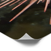 Poster Ourchine géante de la mer Rouge - Beaux-Arts (Coin)