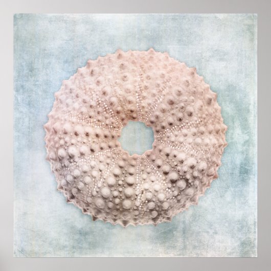 Poster Ourchine marine Peinture de crème bleu côtier en d (Devant)