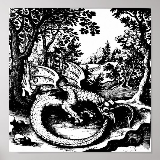 Poster Ouroboros Dragon (Devant)