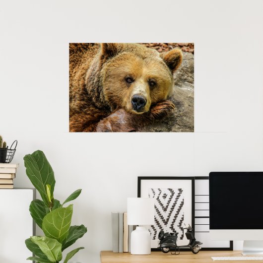 Poster Ours (Bureau à domicile)