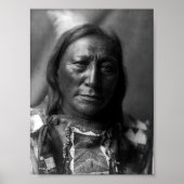 Poster Ours à corne blanche (Devant)