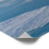 Poster Ours anti-polaires (Coin)