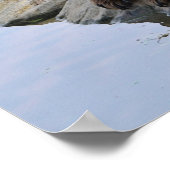 Poster Ours au bord d'un lac (Coin)