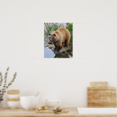 Poster Ours au bord d'un lac (Cuisine)
