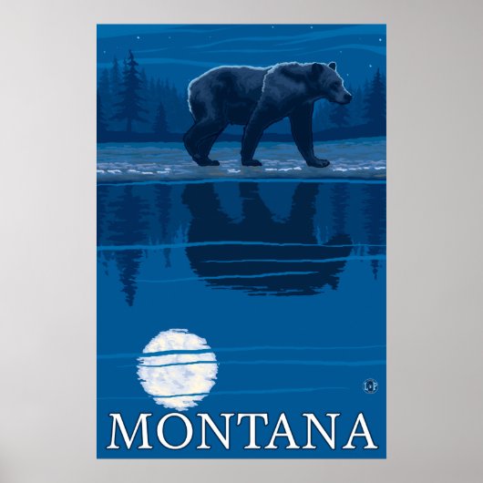 Poster Ours au clair de lune - Montana (Devant)