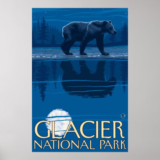 Poster Ours au clair de lune - Parc national des Glaciers (Devant)