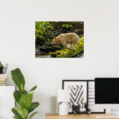 Poster Ours blanc (Bureau à domicile)