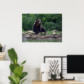 Poster ours Brown (Bureau à domicile)