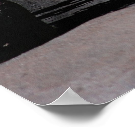 Poster Ours Brown (Coin)