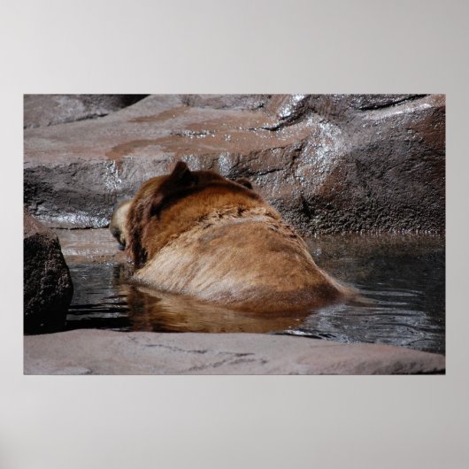 Poster Ours Brown (Devant)