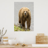 Poster Ours Brown (Cuisine)