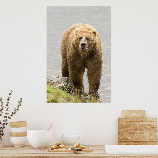 Poster Ours Brown (Cuisine)