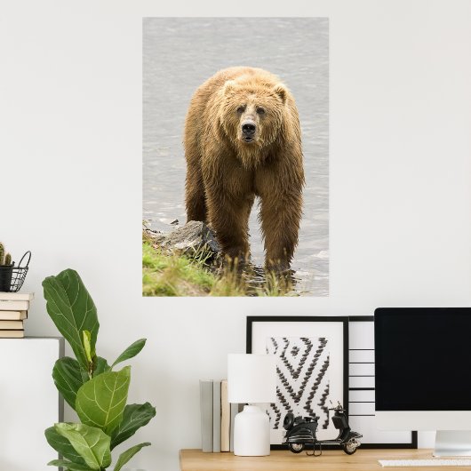 Poster Ours Brown (Bureau à domicile)