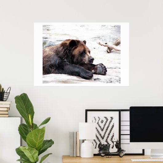 Poster Ours Brown (Bureau à domicile)