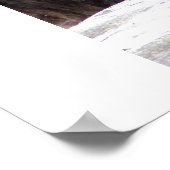 Poster Ours Brown (Coin)