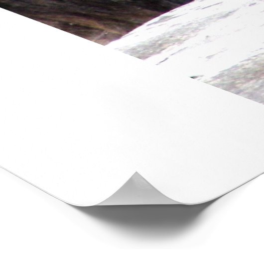 Poster Ours Brown (Coin)