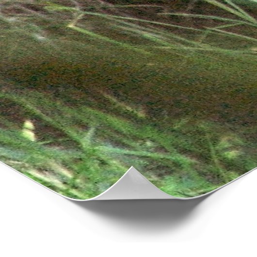 Poster Ours Brown (Coin)