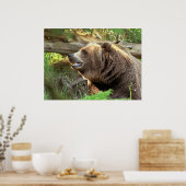 Poster Ours Brown (Cuisine)