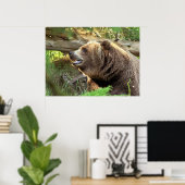 Poster Ours Brown (Bureau à domicile)