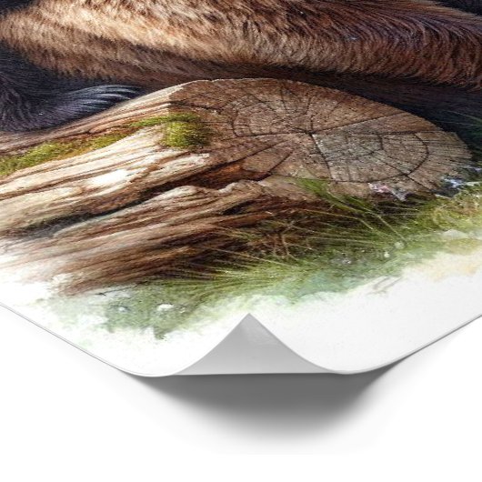 Poster Ours Brown avec deux petits (Coin)