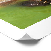 Poster Ours Brown dans l'eau (Coin)