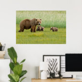 Poster Ours Brown de l'Alaska avec des oursons dans une p (Bureau à domicile)