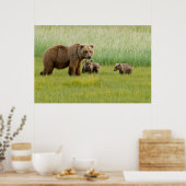 Poster Ours Brown de l'Alaska avec des oursons dans une p (Cuisine)