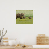 Poster Ours Brown de l'Alaska et trois Cubs, Ursus (Cuisine)