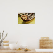 Poster Ours brun (Cuisine)