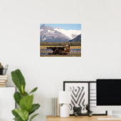 Poster Ours brun, grizzly ours s'étirant sur le dos (Bureau à domicile)
