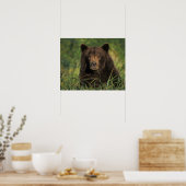 Poster ours brun, Ursus arctos, grizzli, Ursus 9 (Cuisine)